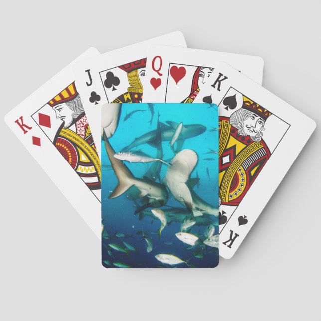 Underwater Shark Frenzy Playing Cards (Back)