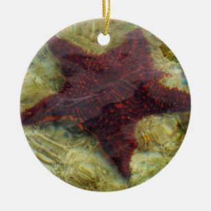 Underwater Starfish in the Bahamas Ceramic Tree Decoration