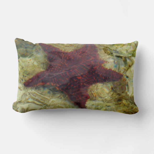 Underwater Starfish in the Bahamas Lumbar Cushion (Front)
