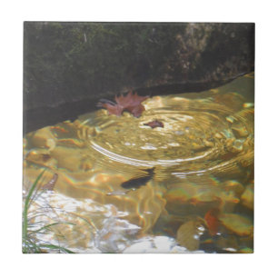 Underwater Trout feeding in Smoky Mountain creek Ceramic Tile