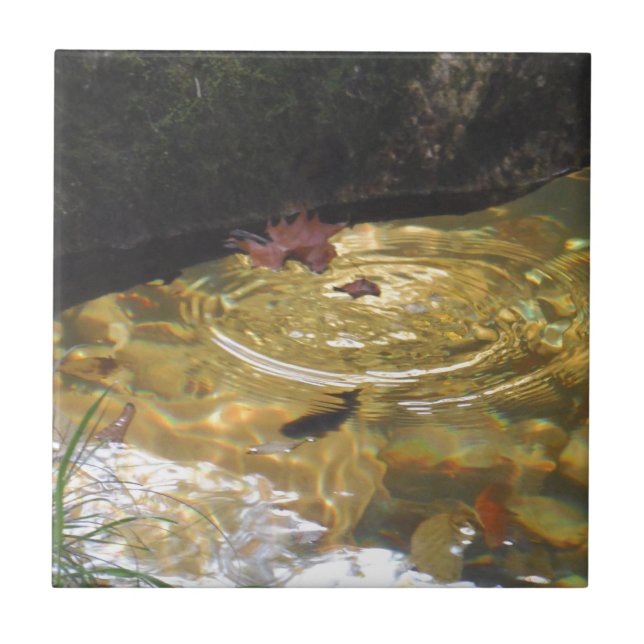 Underwater Trout feeding in Smoky Mountain creek Ceramic Tile (Front)
