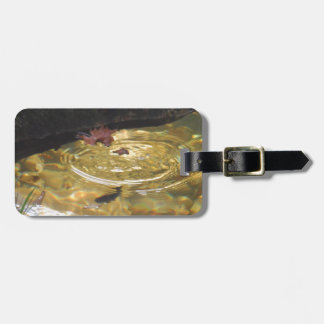 Underwater Trout feeding in Smoky Mountain creek Luggage Tag
