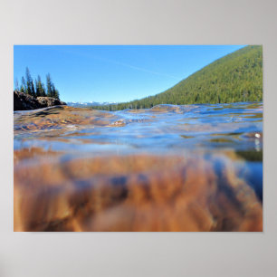 Underwater View at Little Cultus Lake, OR Poster