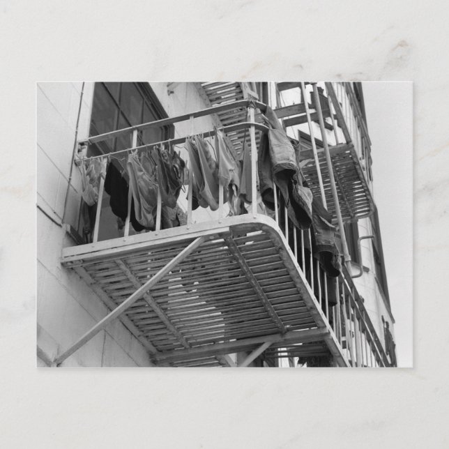 Underwear Out To Dry Humour Black and White Photo Postcard (Front)