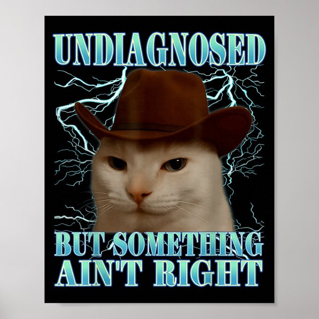 Undiagnosed But Soing Ain't Right Funny Silly Cat  Poster (Front)