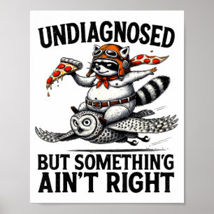 Undiagnosed Soing Aint Right Funny Raccoon Zza Owl Poster