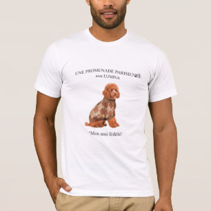 Une Promenade Parisienne avec Lumina   T-Shirt Chi