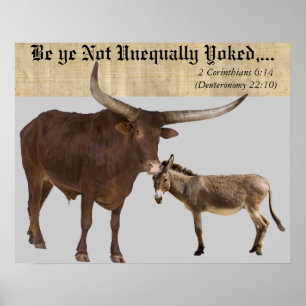 Unequally Yoked. V Poster