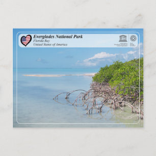 UNESCO - Everglades National Park - Florida Bay Postcard