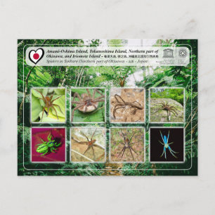 UNESCO - Northern part of Okinawa Island - 沖縄島北部 Postcard