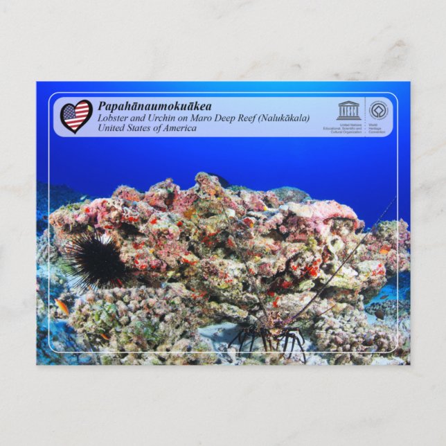 UNESCO - Papahānaumokuākea - Maro Reef Postcard (Front)