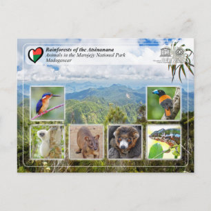 UNESCO WHS - Atsinanana - Marojejy National Park Postcard