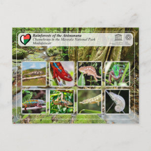 UNESCO WHS - Atsinanana - Masoala National Park Postcard