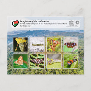 UNESCO WHS - Atsinanana - Ranomafana National Park Postcard