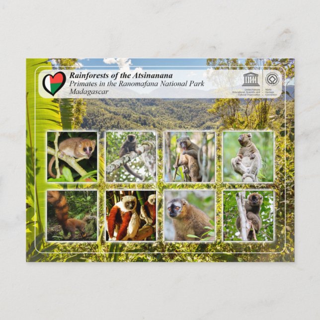 UNESCO WHS - Atsinanana - Ranomafana National Park Postcard (Front)