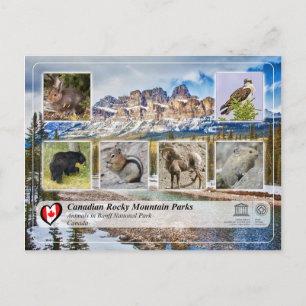 UNESCO WHS - Banff National Park Postcard