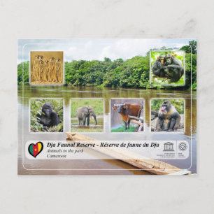 UNESCO WHS - Dja Faunal Reserve Postcard