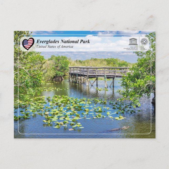 UNESCO WHS - Everglades National Park Postcard (Front)