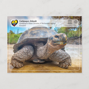 UNESCO WHS - Galápagos Islands - Giant Tortoise Postcard