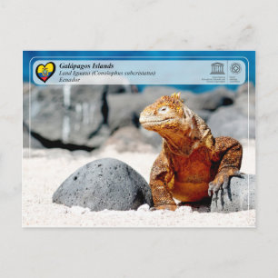 UNESCO WHS - Galápagos Islands - Land Iguana Postcard