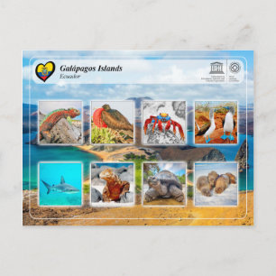 UNESCO WHS - Galápagos Islands Postcard