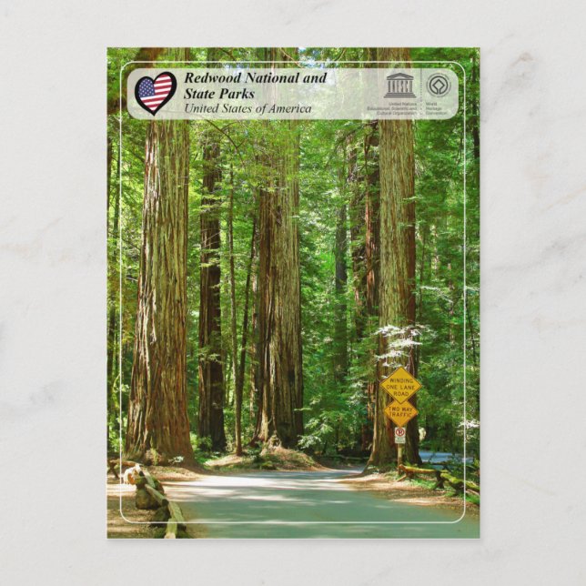UNESCO WHS - Redwood National and State Parks Postcard (Front)