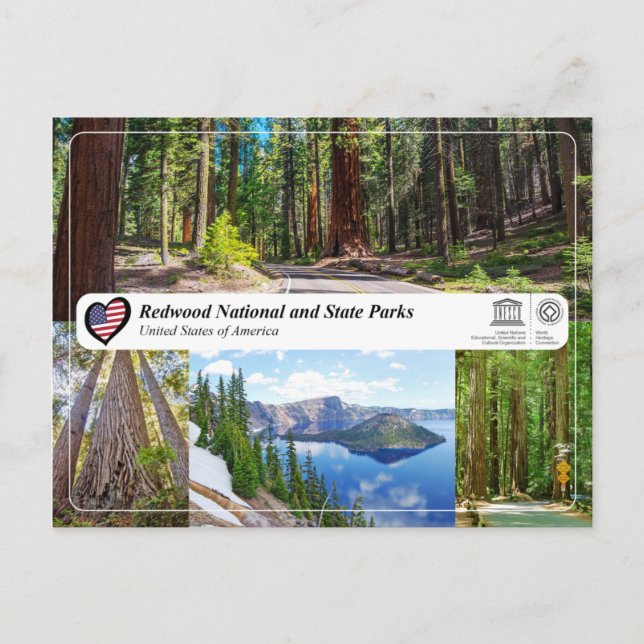 UNESCO WHS - Redwood National and State Parks Postcard (Front)