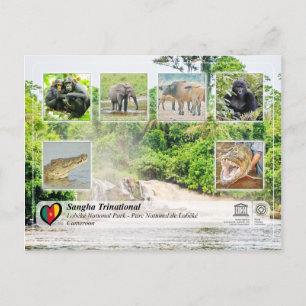 UNESCO WHS - Sangha Trinational - Lobéké Postcard