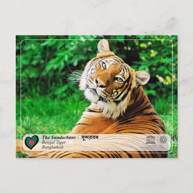 UNESCO WHS - The Sundarbans Postcard (Front)