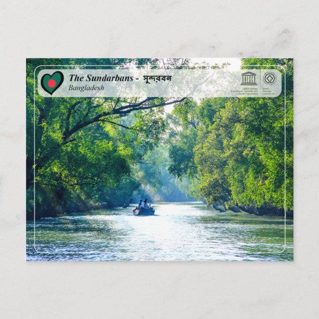 UNESCO WHS - The Sundarbans Postcard (Front)