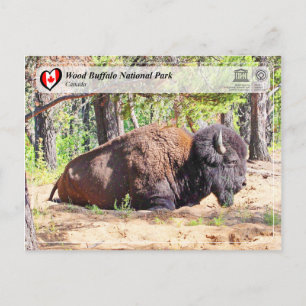 UNESCO WHS - Wood Buffalo National Park Postcard