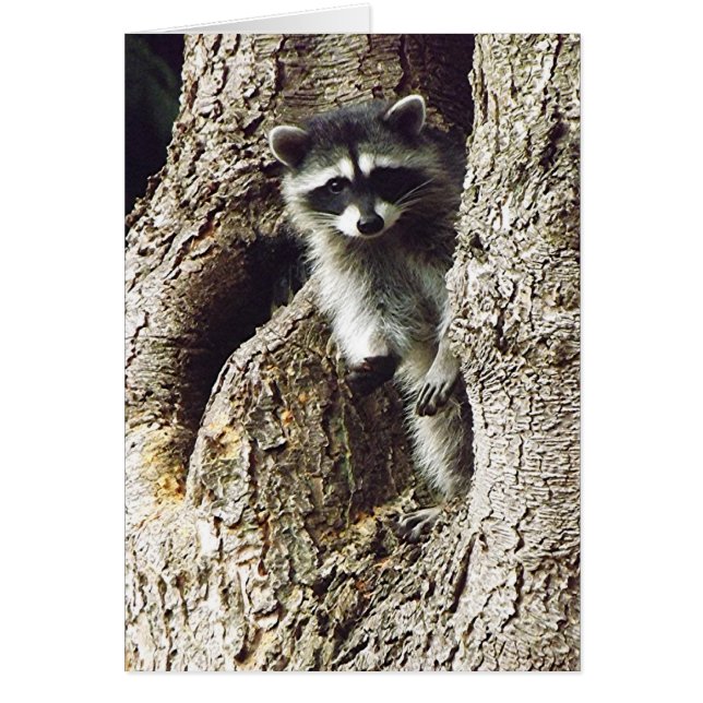 Unexpected Visitor, v. (Front)