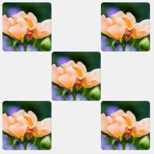 unfolding desire (Group)