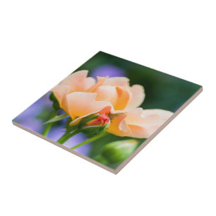 unfolding desire ceramic tile