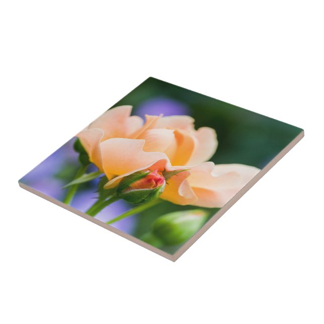 unfolding desire ceramic tile (Side)