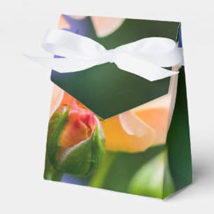 unfolding desire favour box