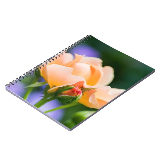 unfolding desire notebook (Left Side)