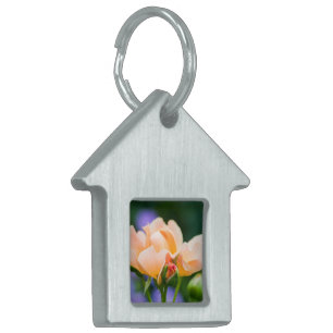 unfolding desire pet ID tag