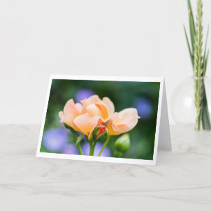 unfolding desire thank you card