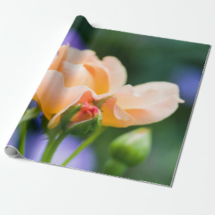 unfolding desire wrapping paper
