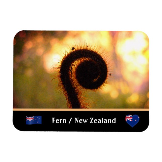 Unfolding Fern, New Zealand, Wilderness /Aotearoa Magnet (Horizontal)