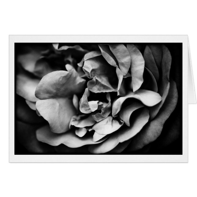 unfolding inner life (Front Horizontal)