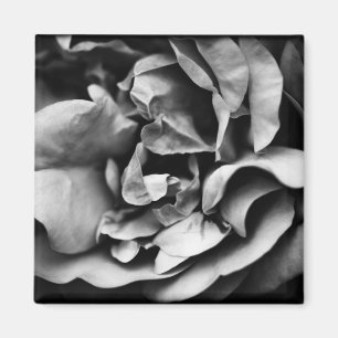 unfolding inner life magnet