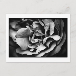 unfolding inner life postcard