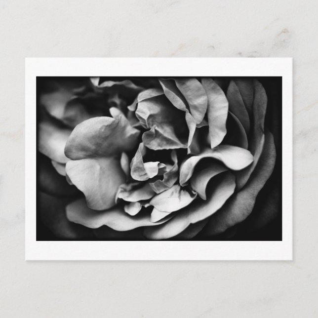 unfolding inner life postcard (Front)