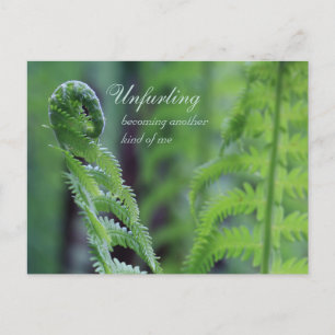 Unfurling fern leaf CC0191 Nature close-up photo Postcard