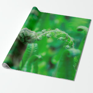 Unfurling Ferns Wrapping Paper