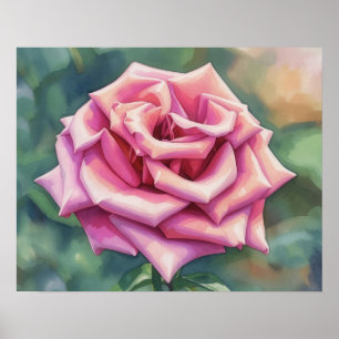 Unfurling Pink Rose Flower Floral Art Poster