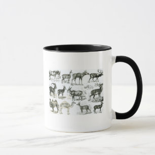 Ungalata or Hoofed Animals Mug