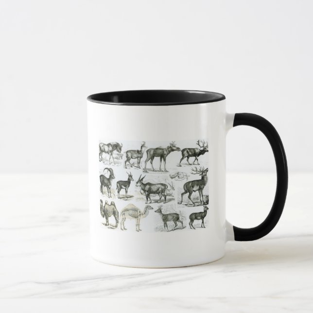 Ungalata or Hoofed Animals Mug (Right)